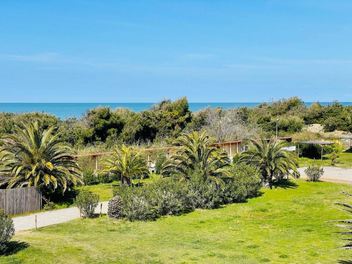 Regina Beach Holiday Apartments Tirrenia Εξωτερικό φωτογραφία