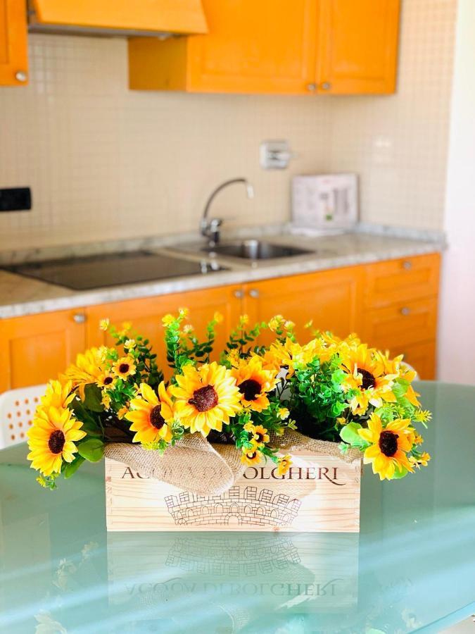 Regina Beach Holiday Apartments Tirrenia Εξωτερικό φωτογραφία